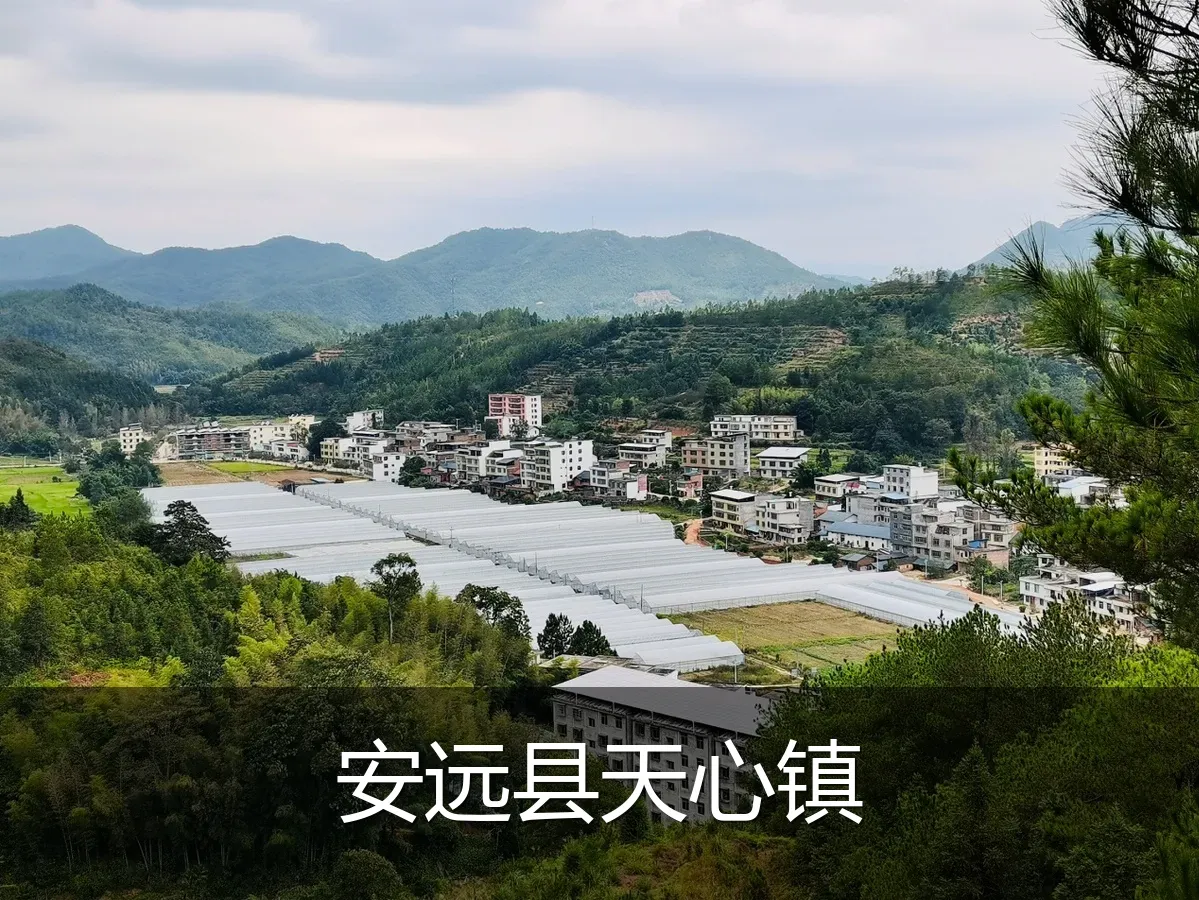 安远县天心镇