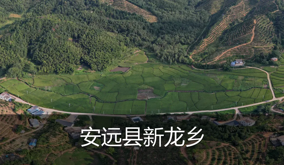 安远县新龙乡