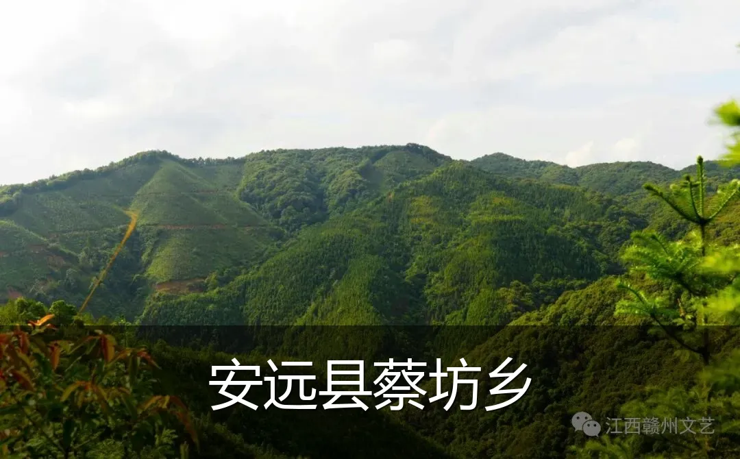 安远县蔡坊乡