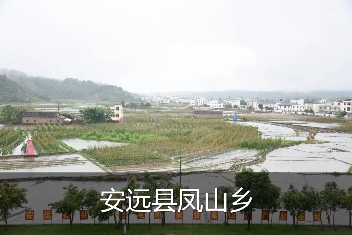 安远县凤山乡